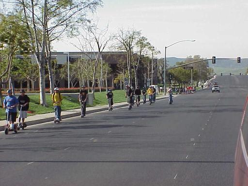 ocride6.jpg